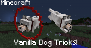 Dog Tricks